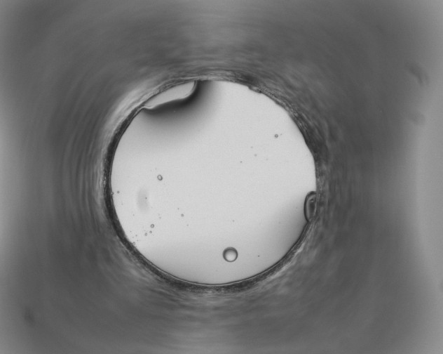 X0000113260293200910011413