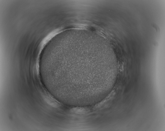 X0000113260294200910011413