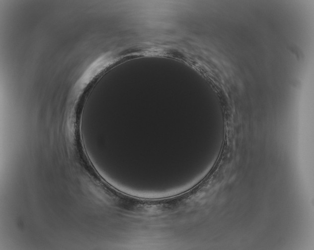 X0000113260295200910011413