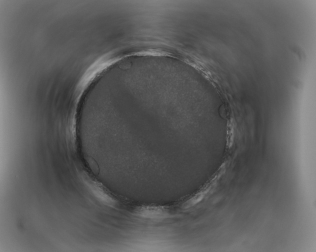 X0000113260296200910011413