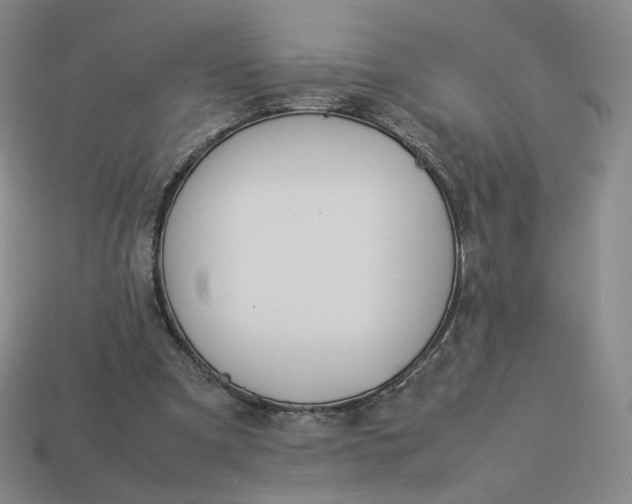 X0000113260297200910011413