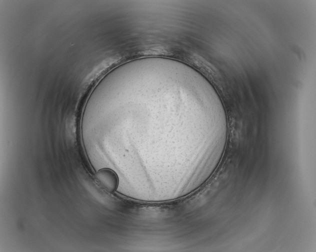 X0000113260298200910011413