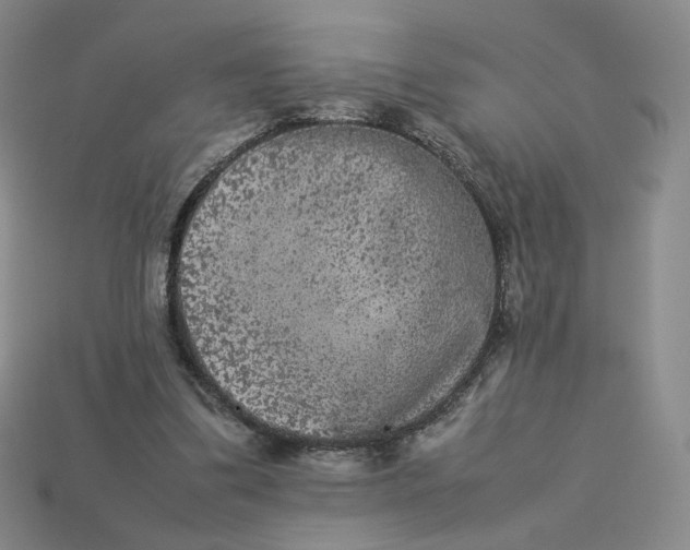 X0000113260299200910011413