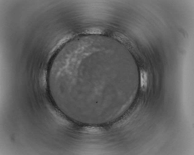X0000113260300200910011413