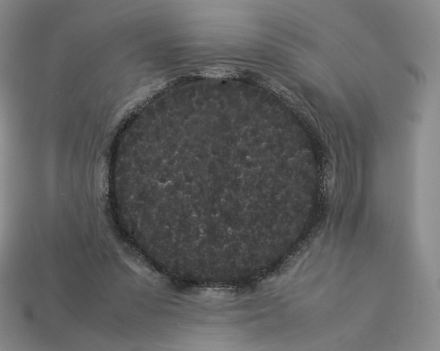 X0000113260303200910011413