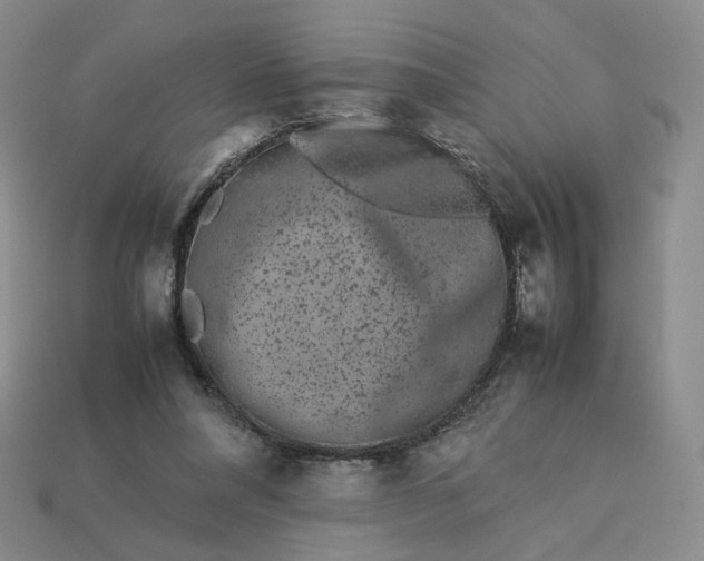 X0000113260304200910011413