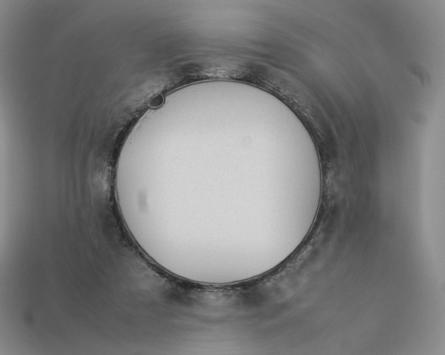 X0000113260305200910011413