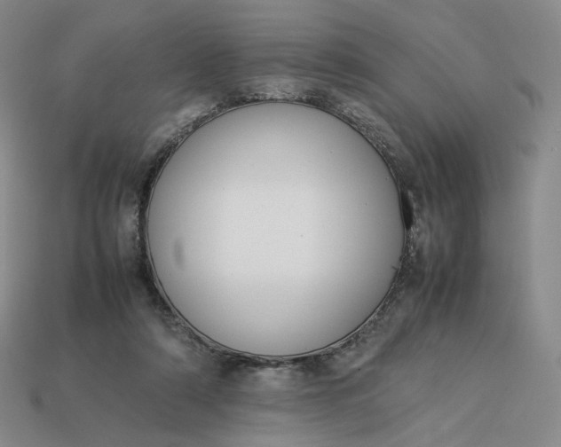 X0000113260306200910011413