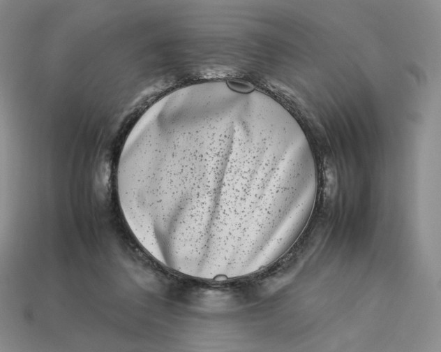 X0000113260308200910011413