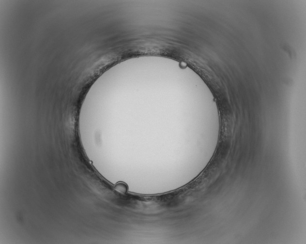 X0000113260309200910011413