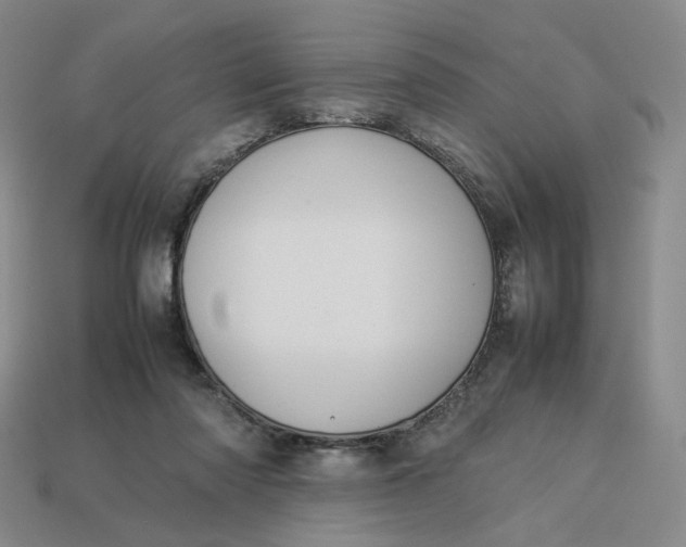 X0000113260310200910011413