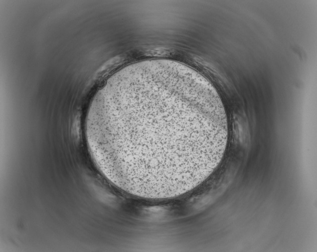 X0000113260312200910011413
