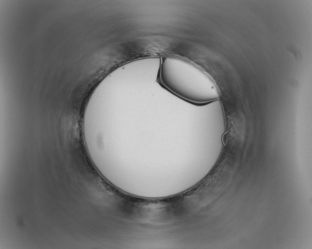 X0000113260313200910011413
