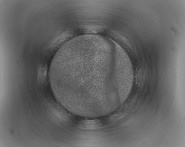 X0000113260314200910011413
