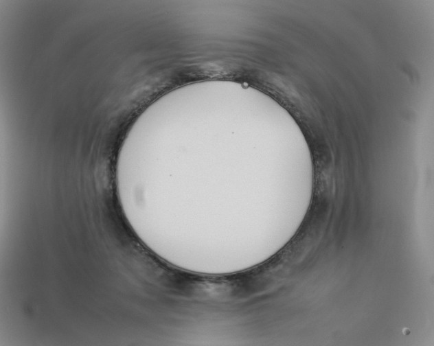 X0000113260317200910011413