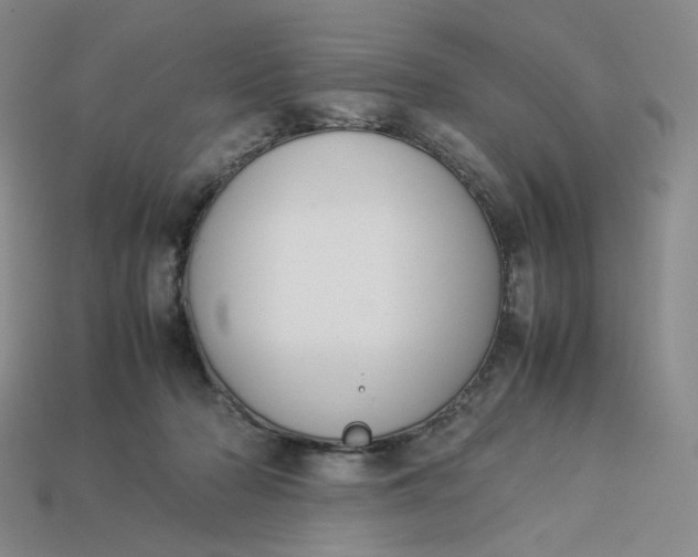 X0000113260318200910011413