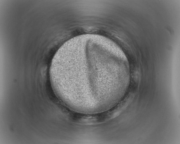 X0000113260319200910011413