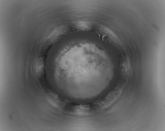 X0000113260320200910011413