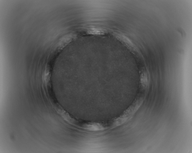 X0000113260322200910011413