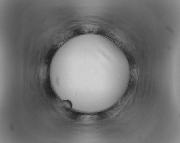 X0000113260323200910011413