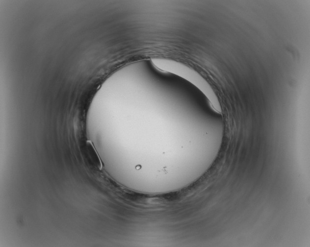 X0000113260324200910011413