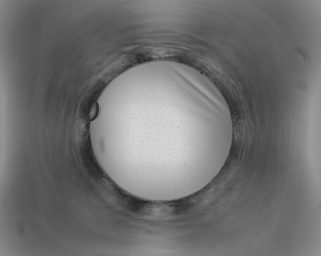 X0000113260327200910011413