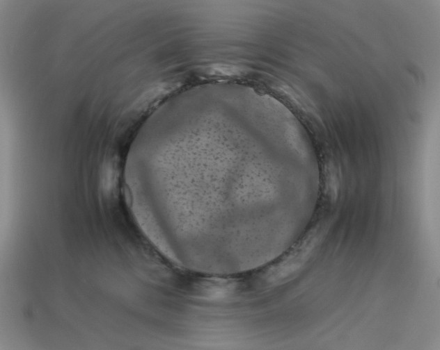 X0000113260328200910011413