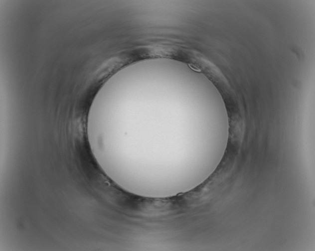 X0000113260329200910011413