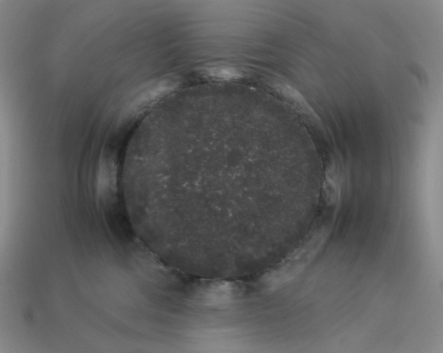 X0000113260330200910011413
