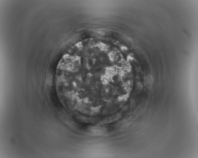 X0000113260331200910011413