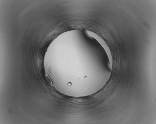 X0000113260332200910011413
