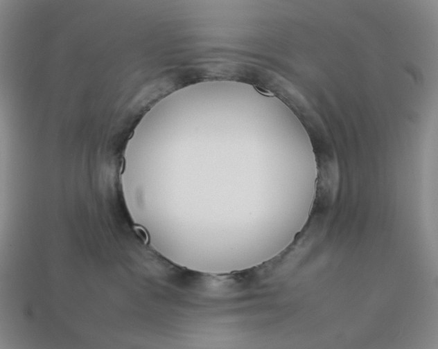 X0000113260333200910011413