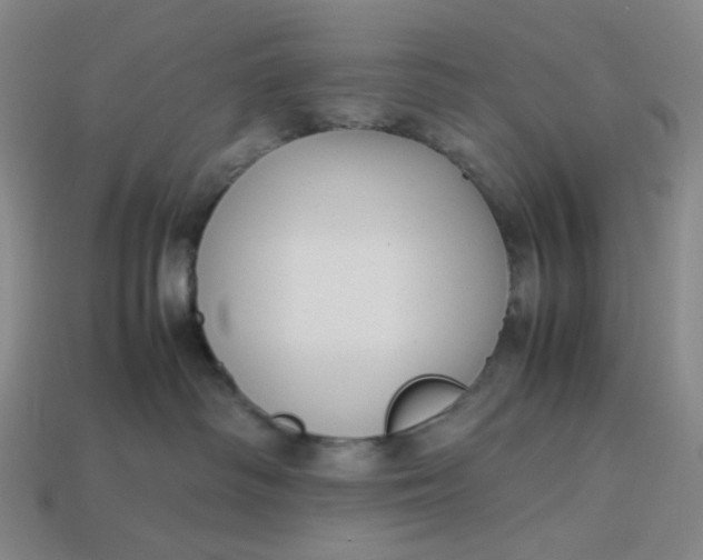 X0000113260334200910011413