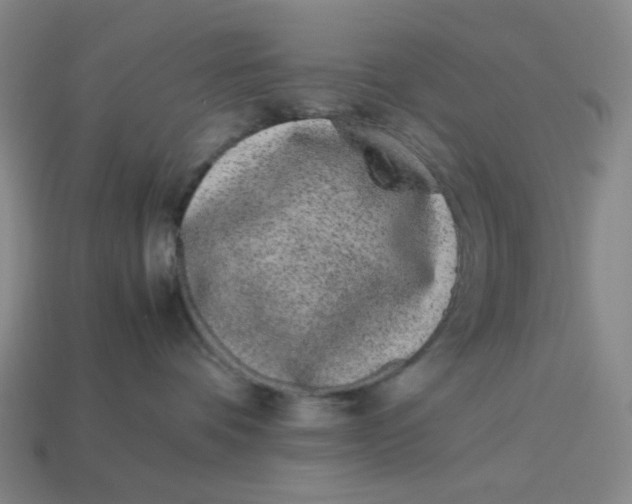 X0000113260336200910011412