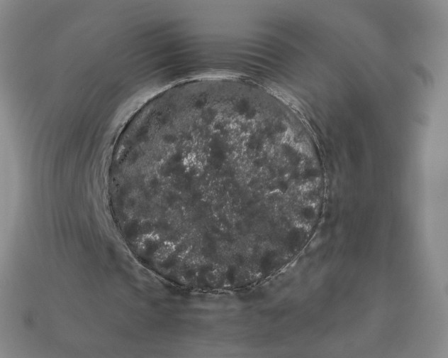 X0000113260337200910011412