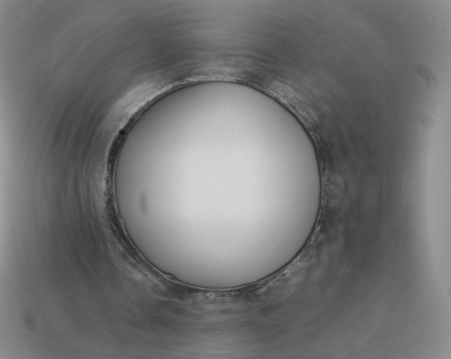 X0000113260338200910011412