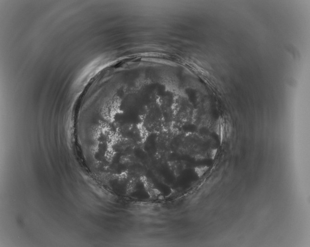 X0000113260339200910011412