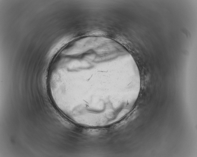 X0000113260341200910011412