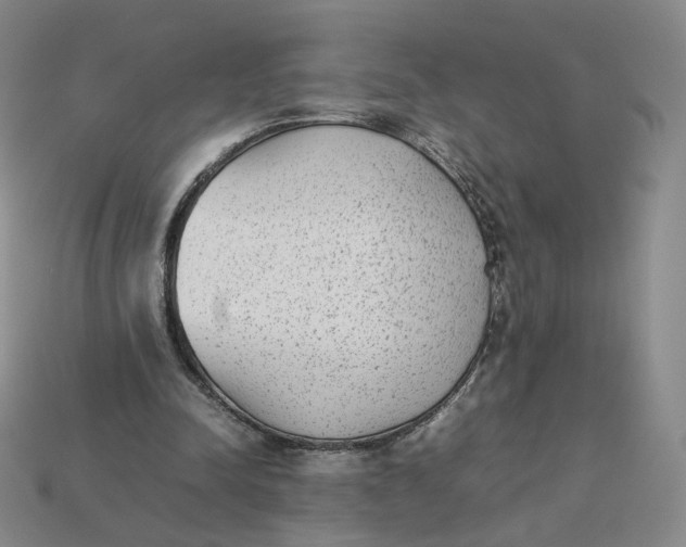 X0000113260342200910011412