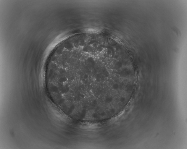 X0000113260343200910011412