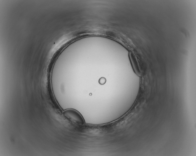 X0000113260344200910011412