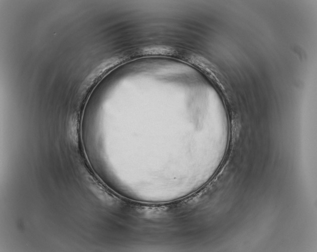 X0000113260345200910011412