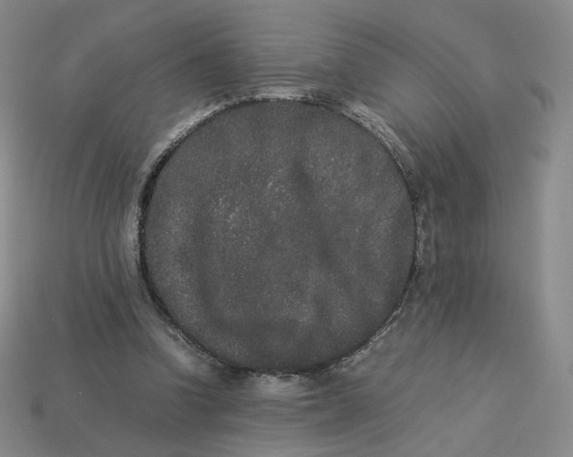 X0000113260346200910011412
