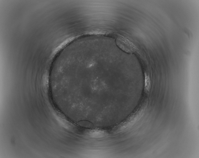X0000113260348200910011412