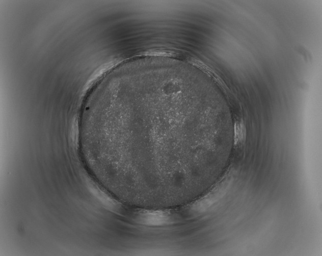 X0000113260349200910011412