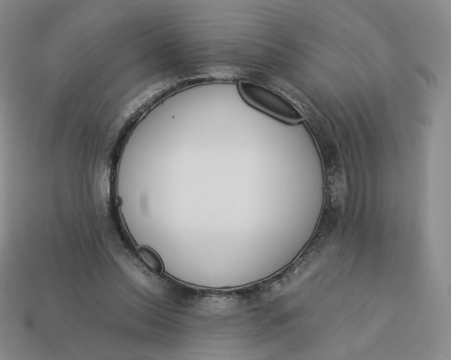 X0000113260350200910011412