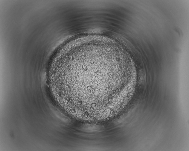 X0000113260351200910011412