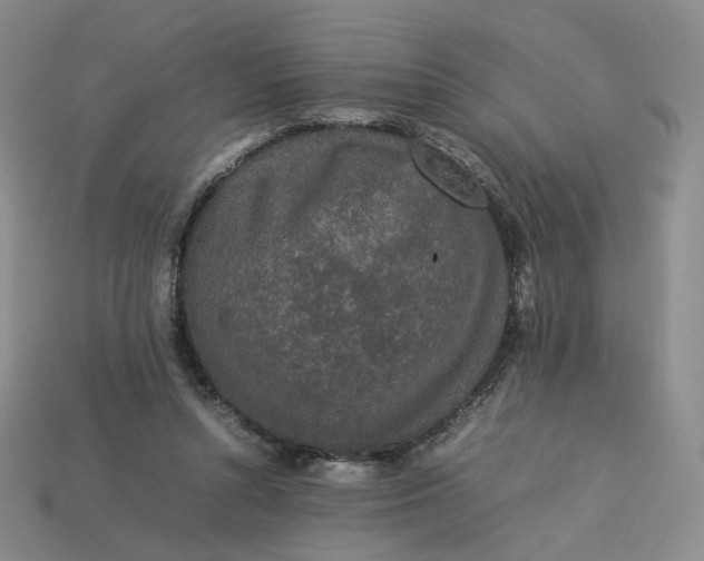 X0000113260352200910011412