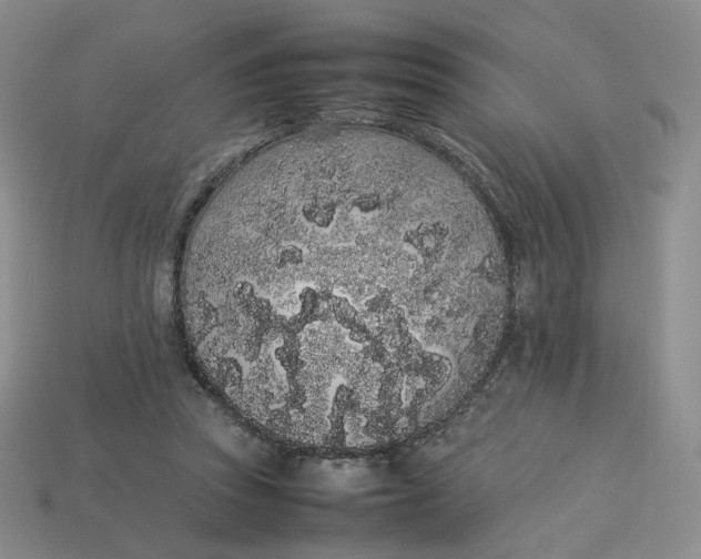 X0000113260353200910011412