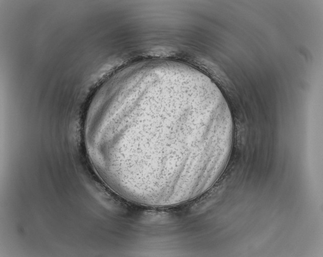 X0000113260354200910011412